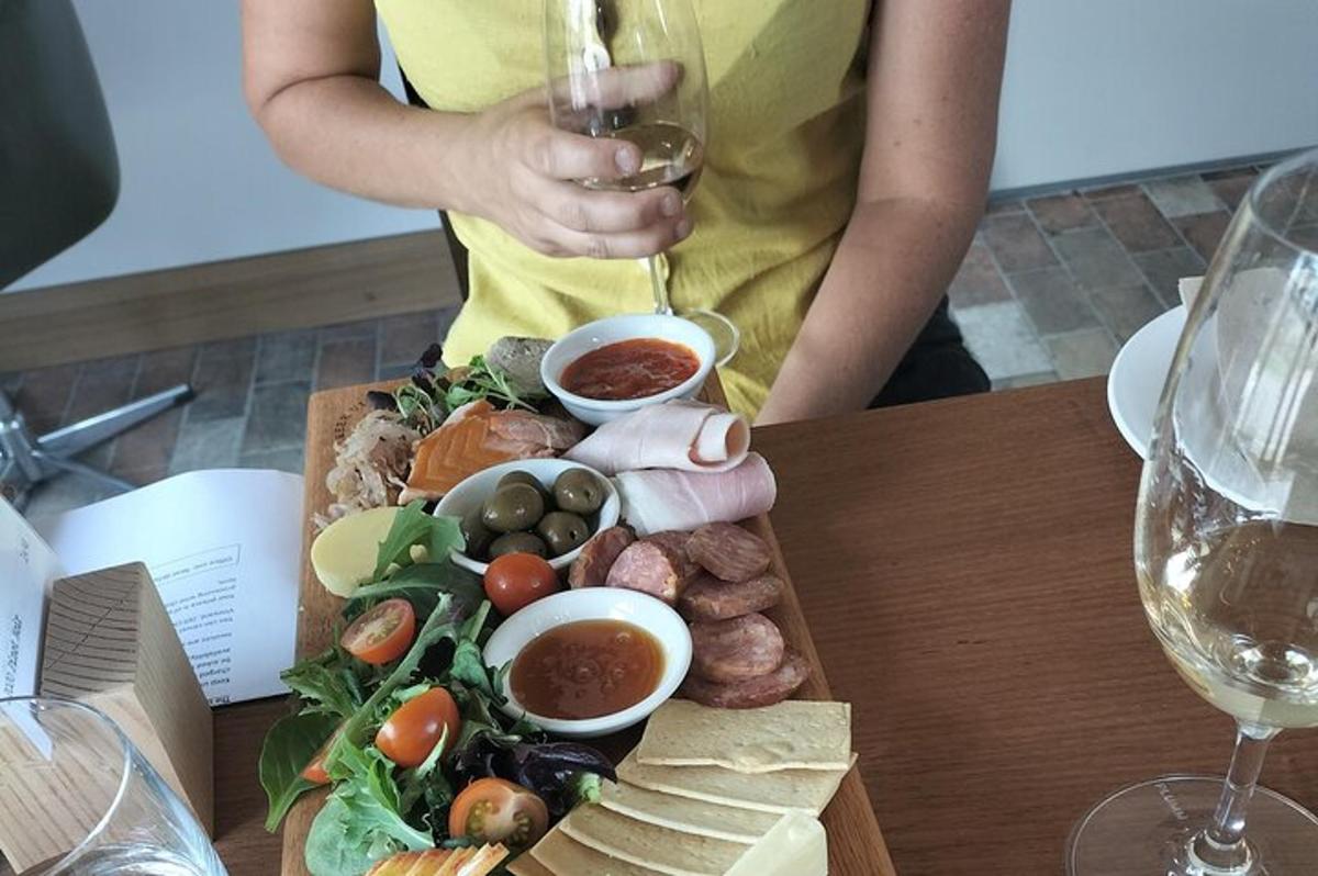a person holding a glass of wine and a plate of food