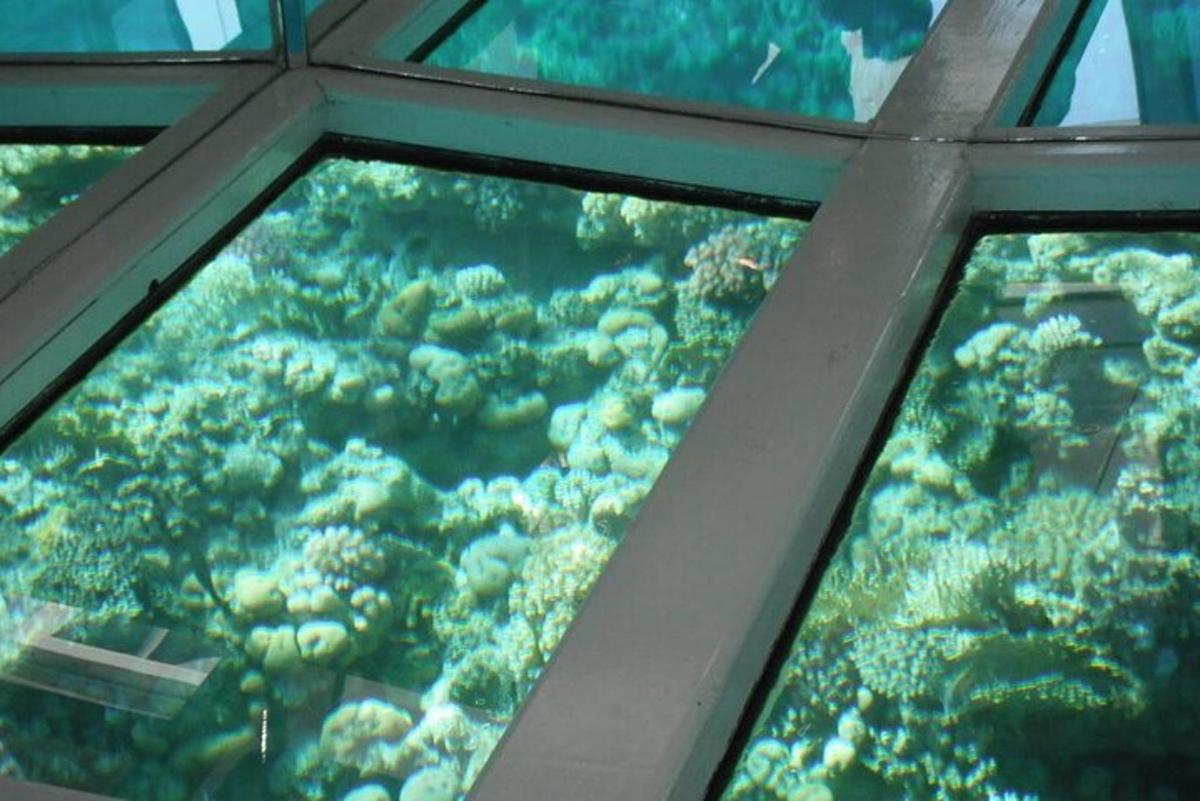 pemandangan tangki ikan di dalam akuarium