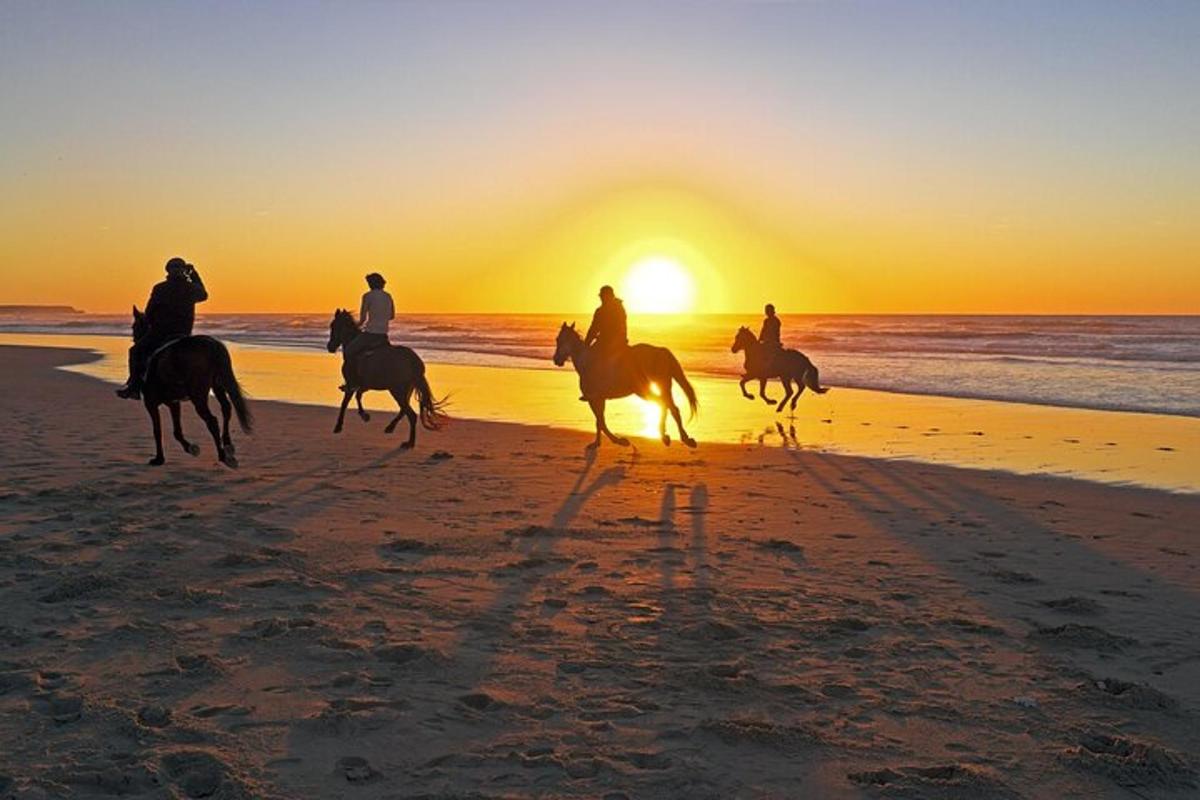 um grupo de pessoas andando a cavalo na praia ao pôr do sol