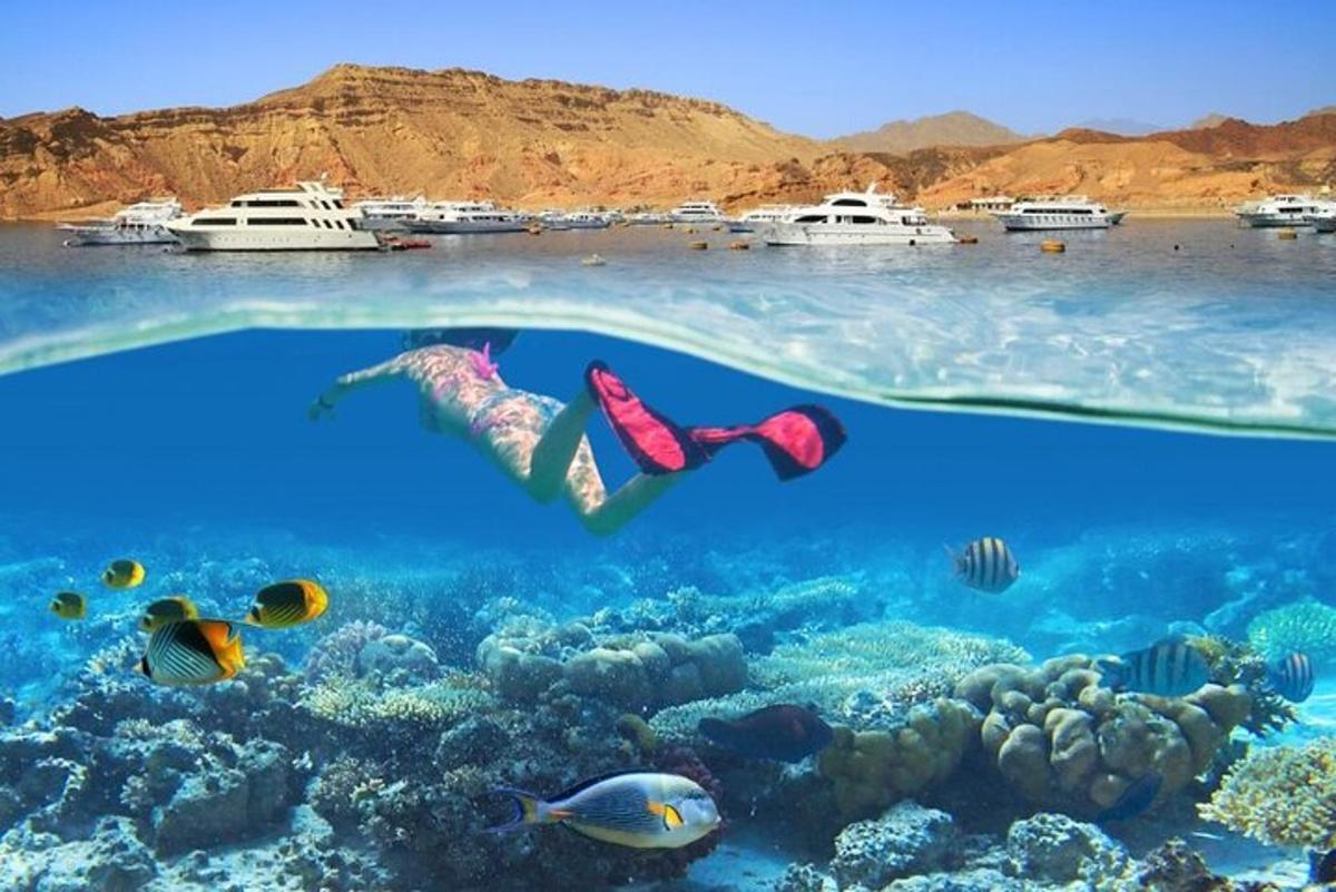 žena plave přes korálový útes v oceánu