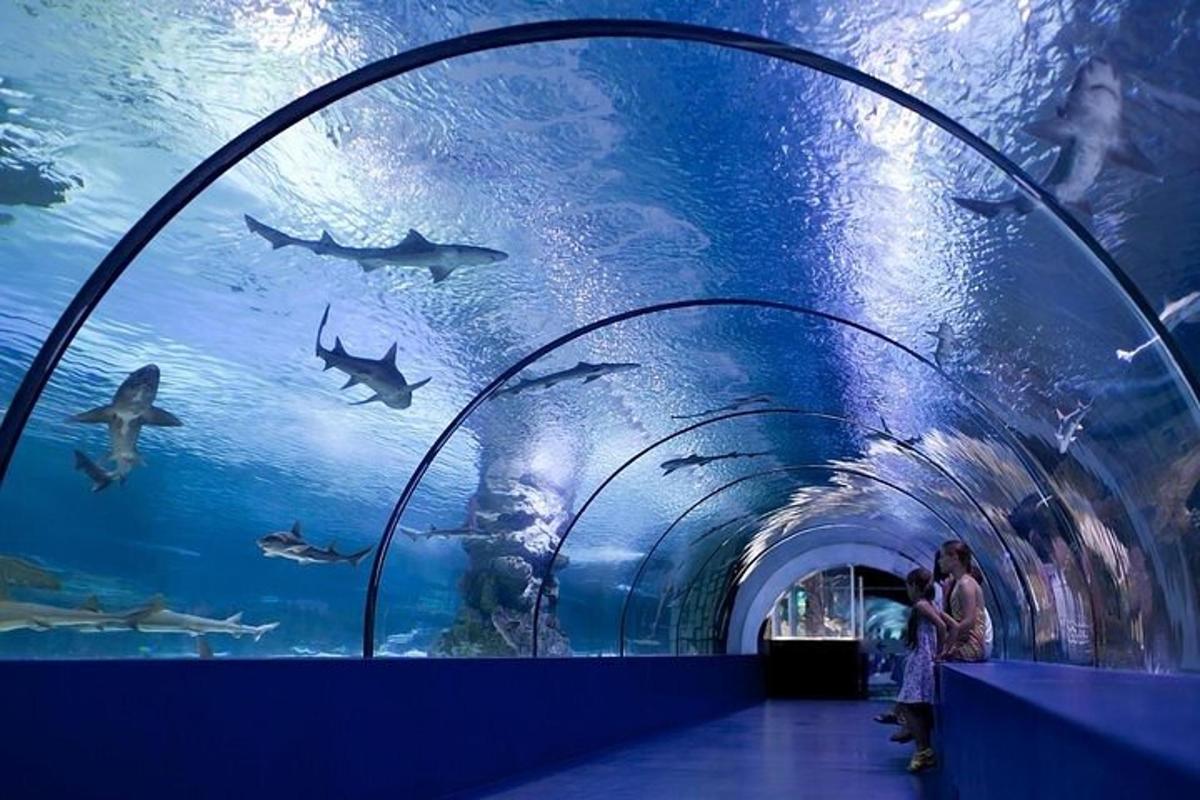 Attraction picture 1