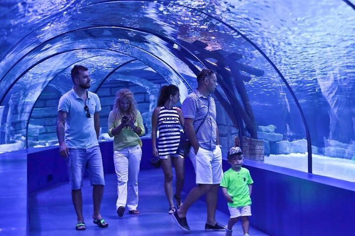 Attraction picture 2