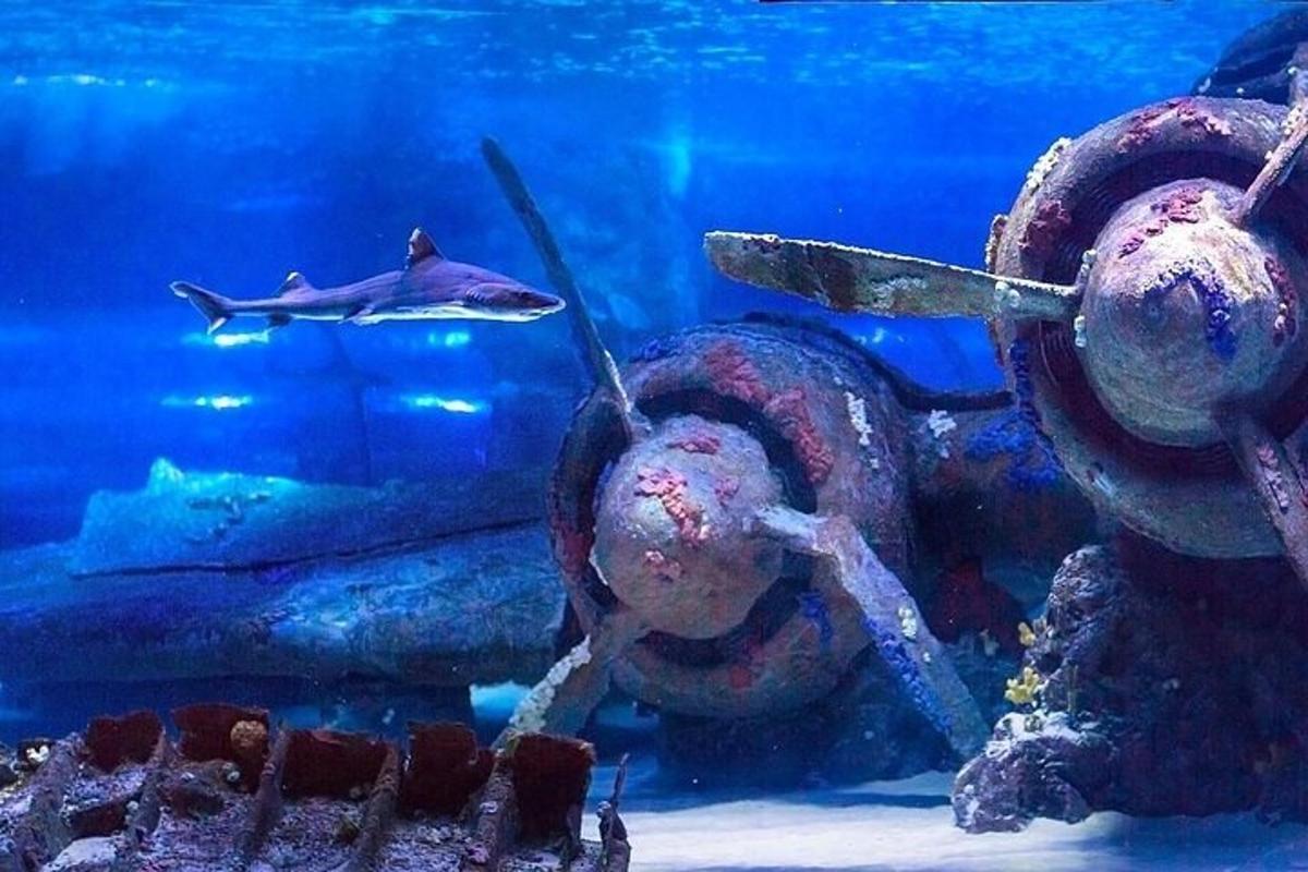 Attraction picture 3