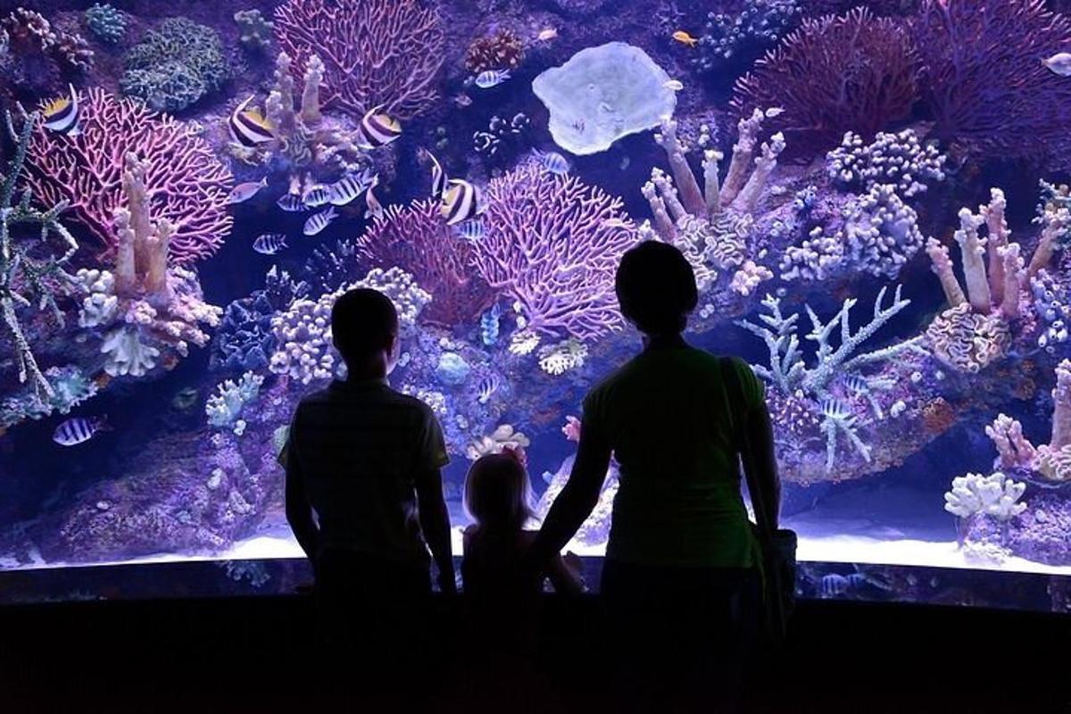 Attraction picture 4