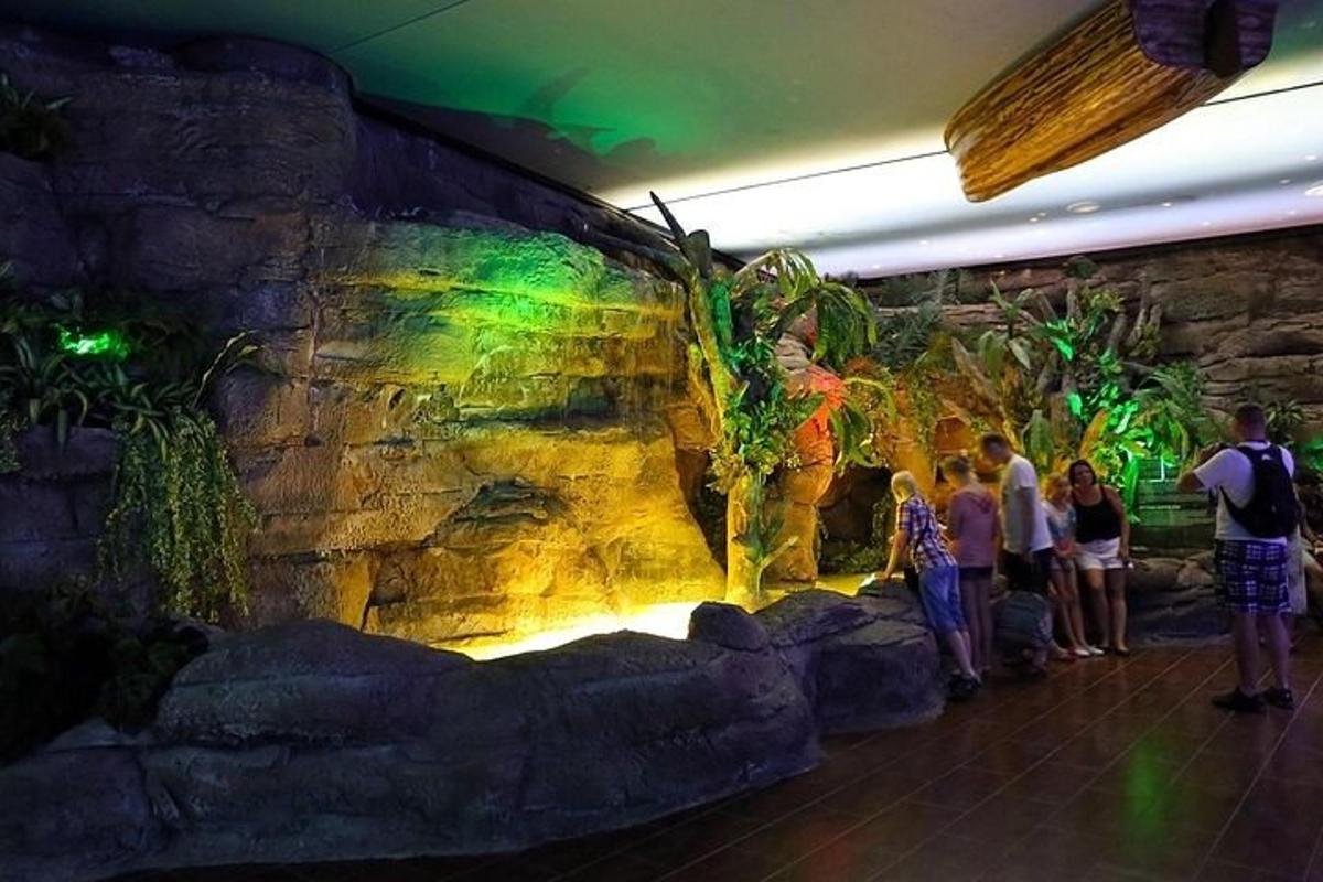 Attraction picture 5