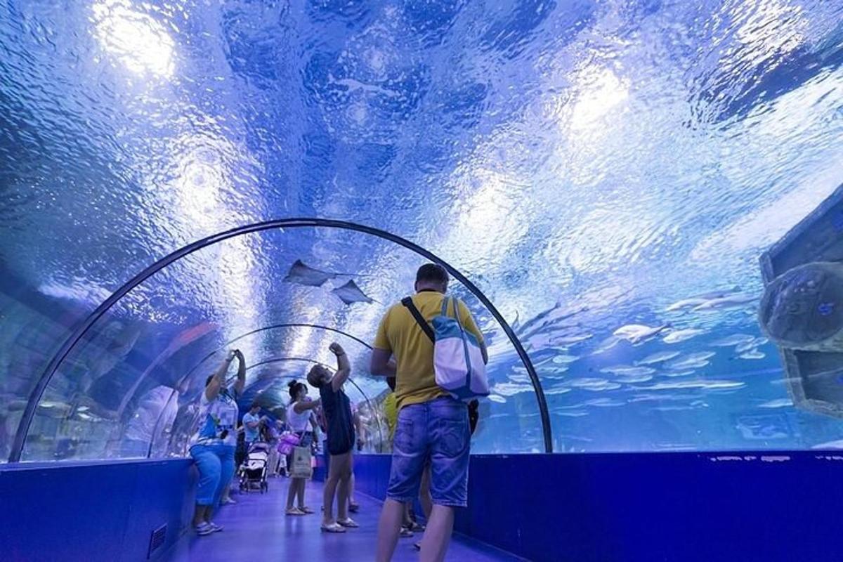 Attraction picture 6