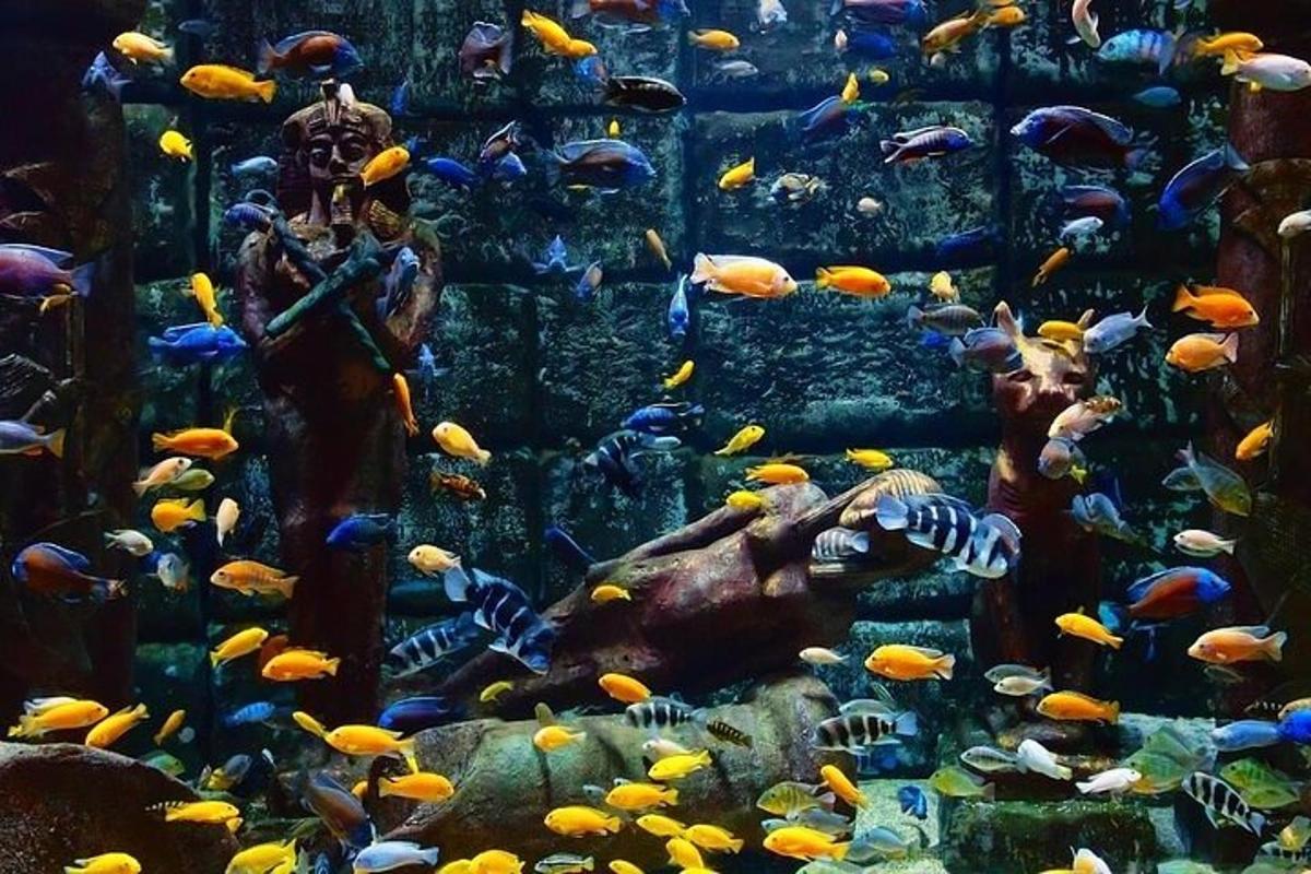 Attraction picture 7
