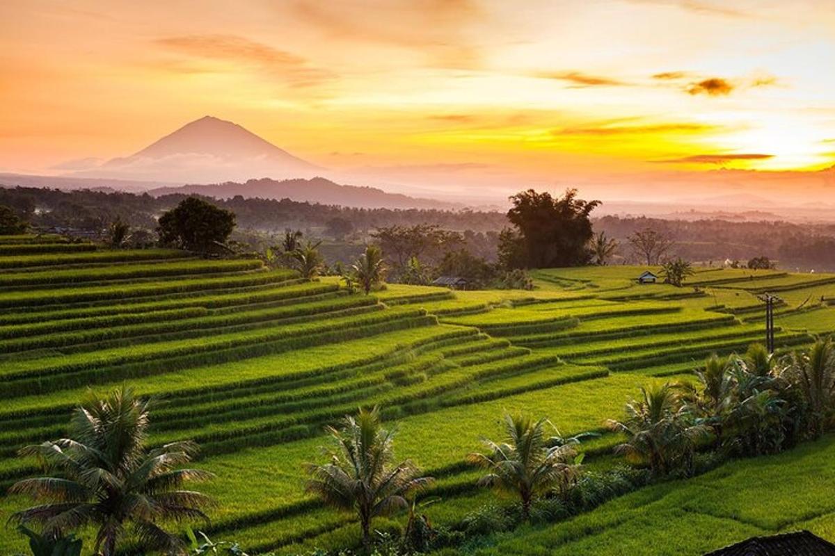 a sunset over a green field with a mountain in the background