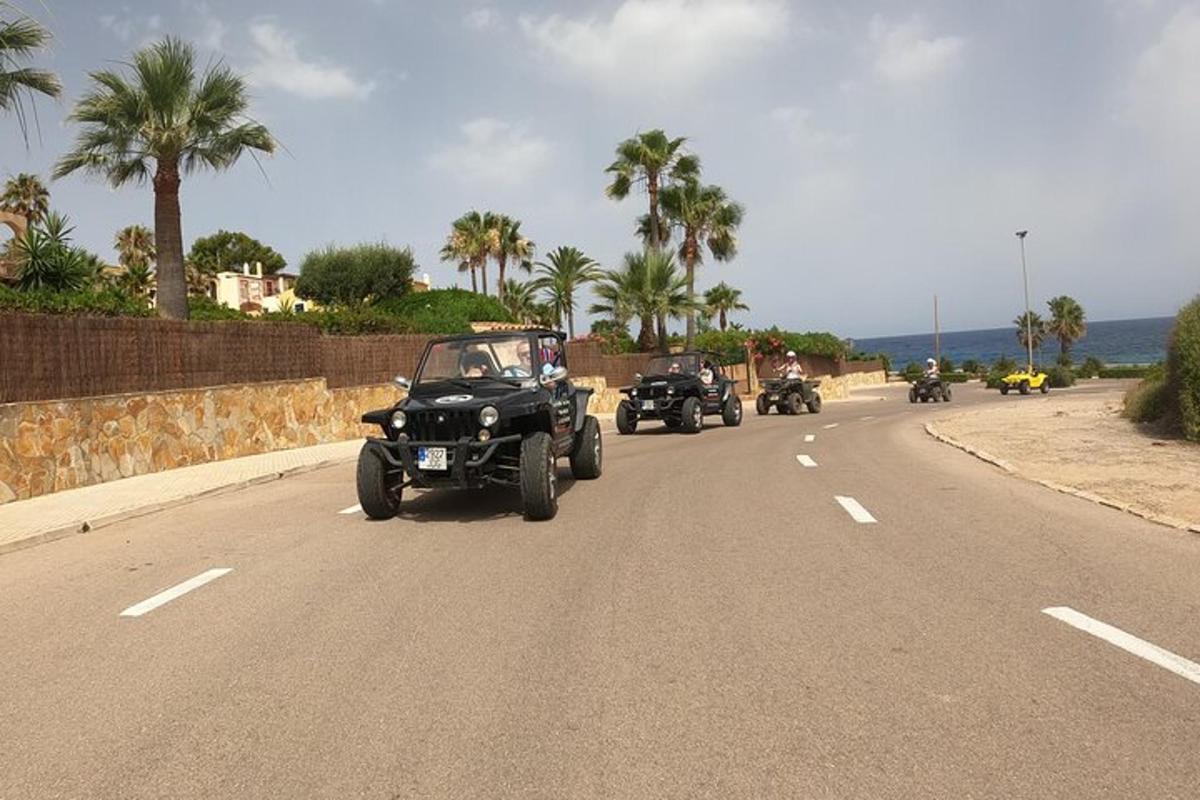 un grup de vehicule care circulă pe un drum cu palmieri