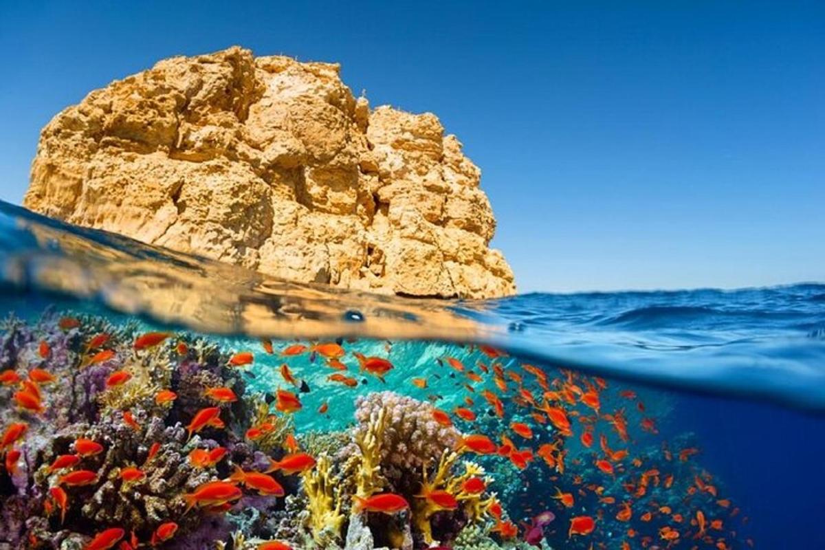 una roccia nell'oceano accanto a una barriera corallina