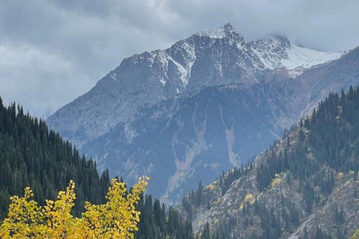 a mountain range with a snow covered mountain