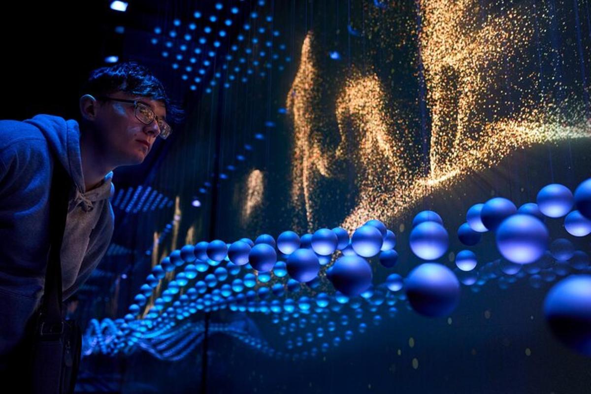 Attraction picture 7