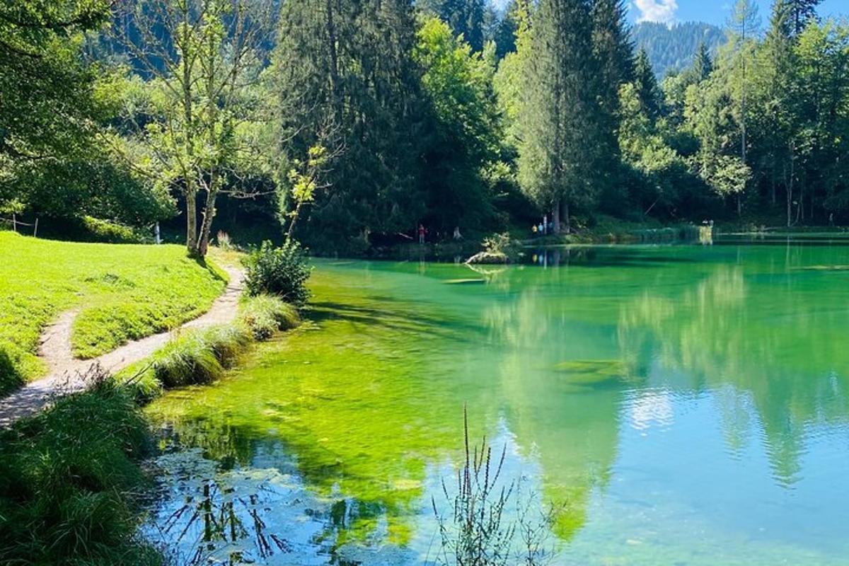 tasik dengan air hijau dan pepohonan di padang