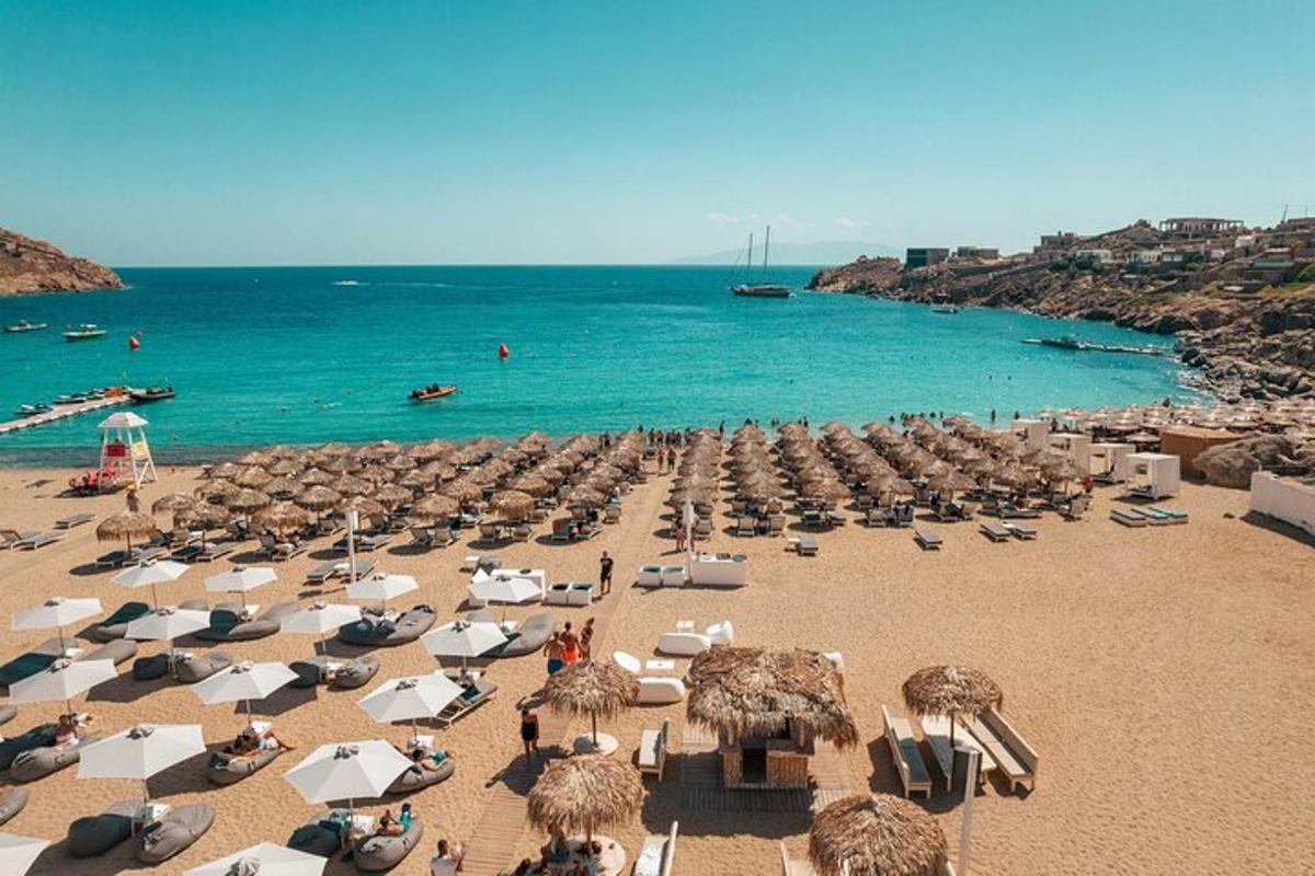a beach with a bunch of umbrellas and the ocean