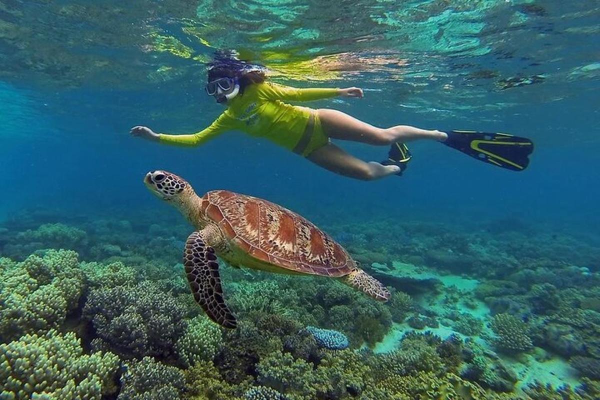 Fotografia da atração 6