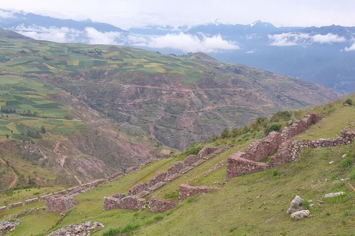 una vista d'un turó verd amb edificis