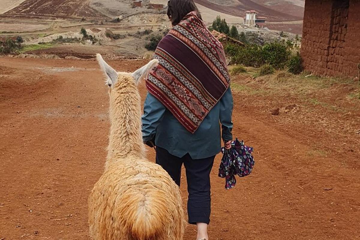 una dona caminant per un camí de terra amb una llama