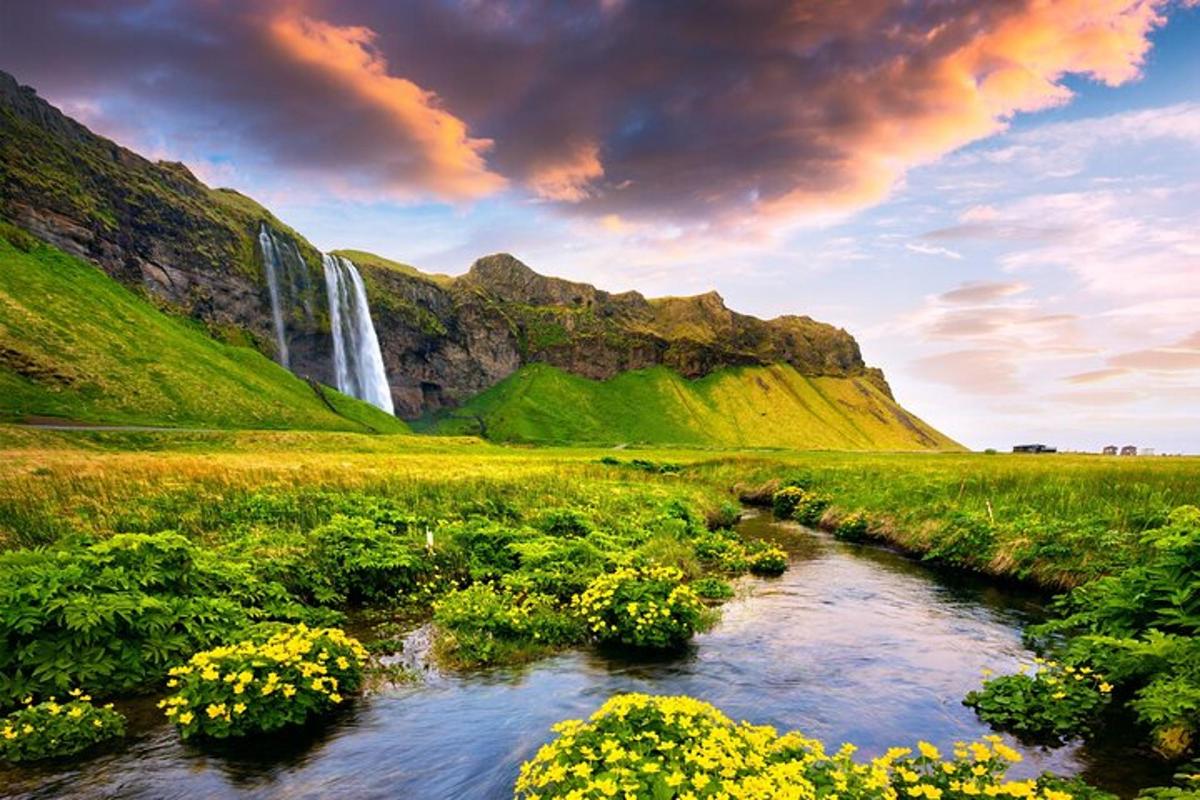una cascata in mezzo a un campo di fiori