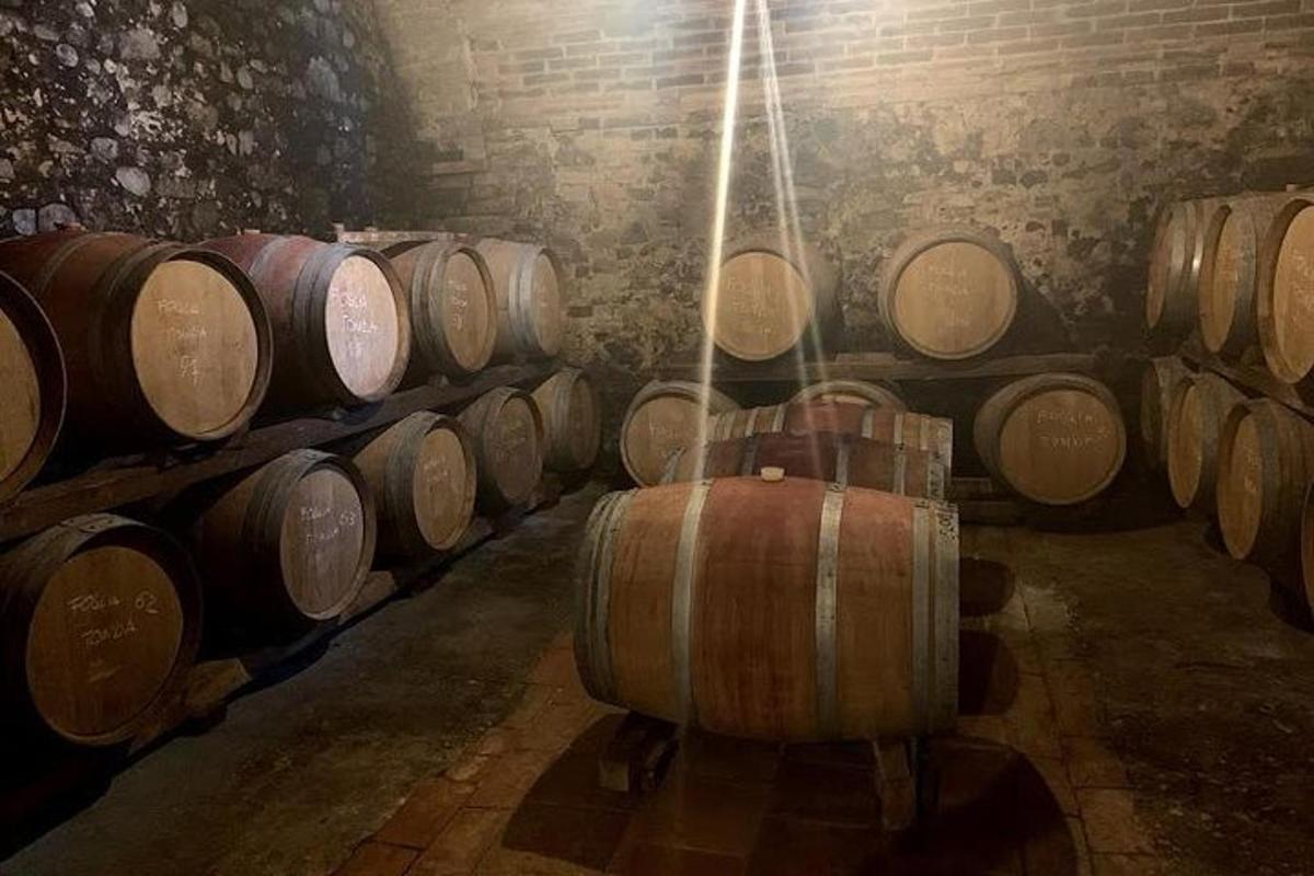 uma fileira de barris de vinho em uma adega