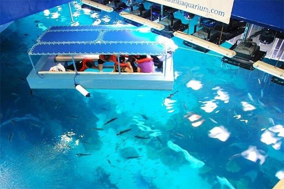 a boat in the water with fish in it