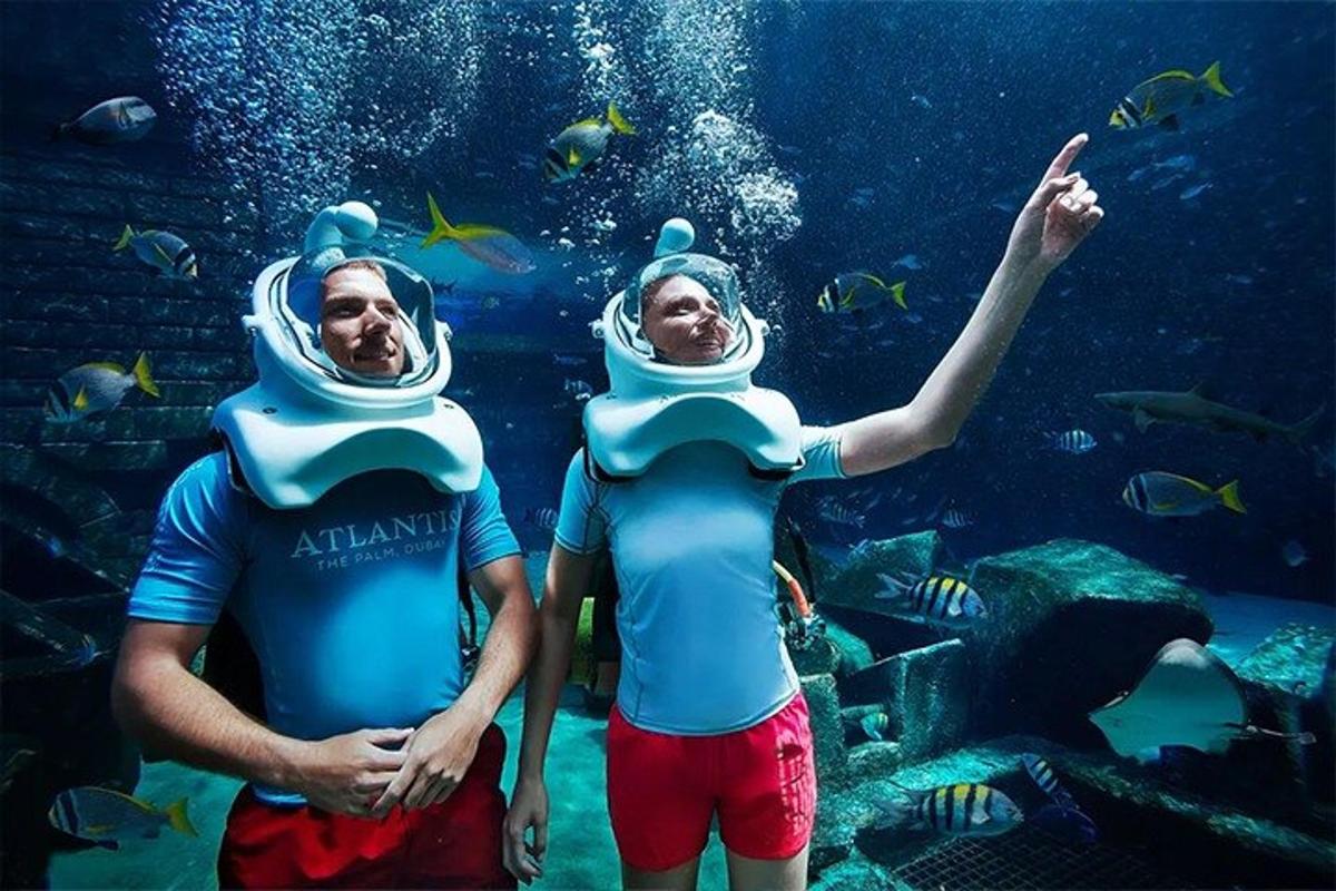 Attraction picture 2
