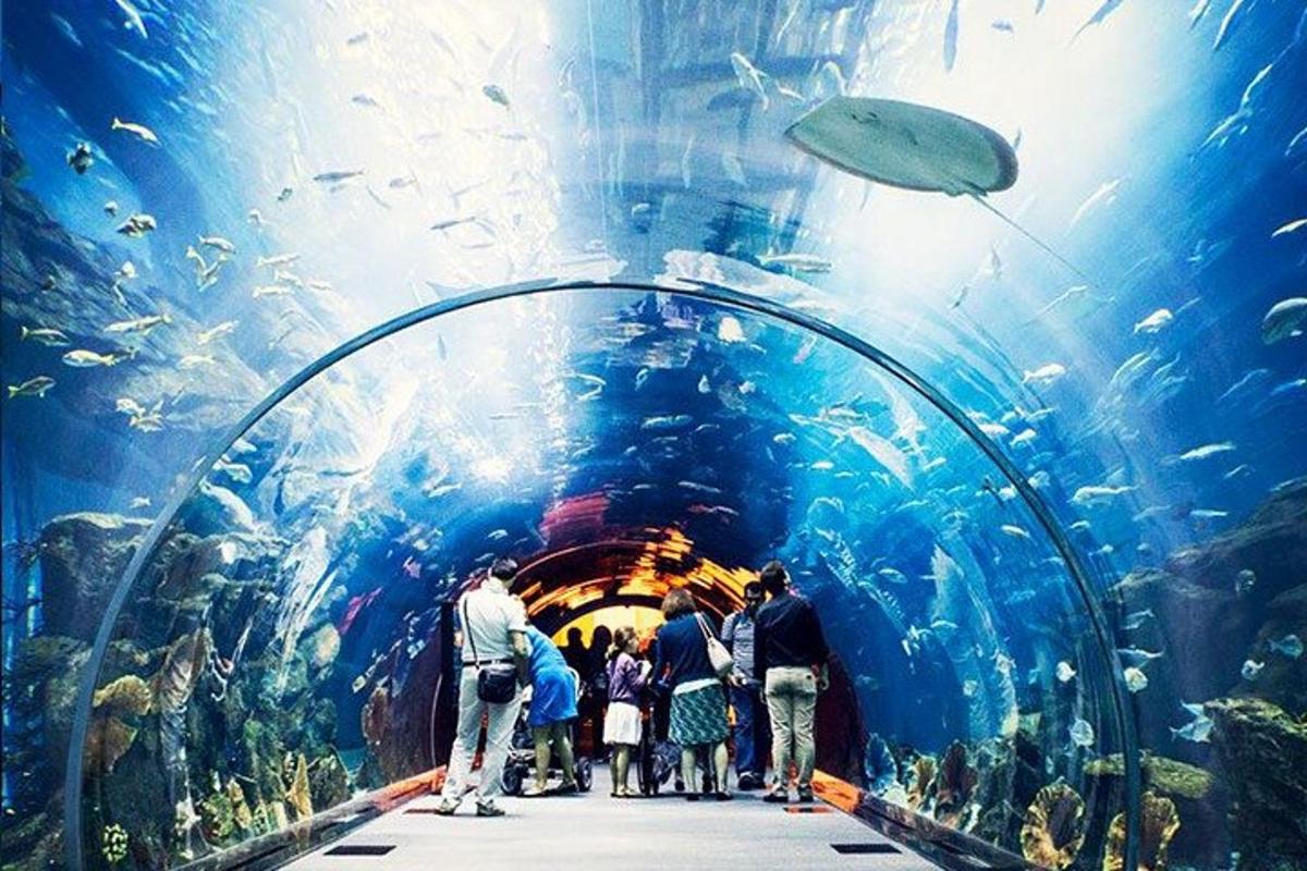 Attraction picture 4