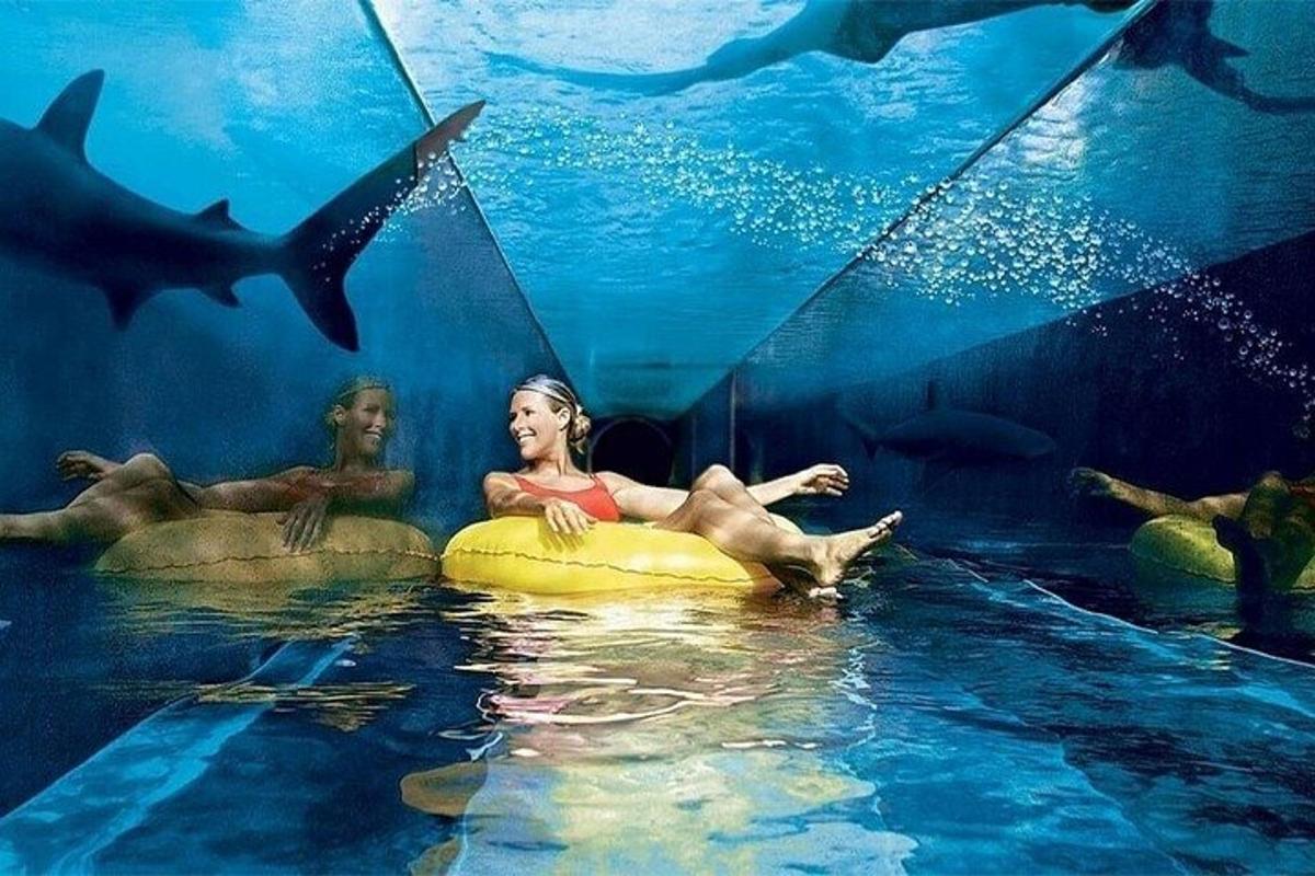 Attraction picture 6