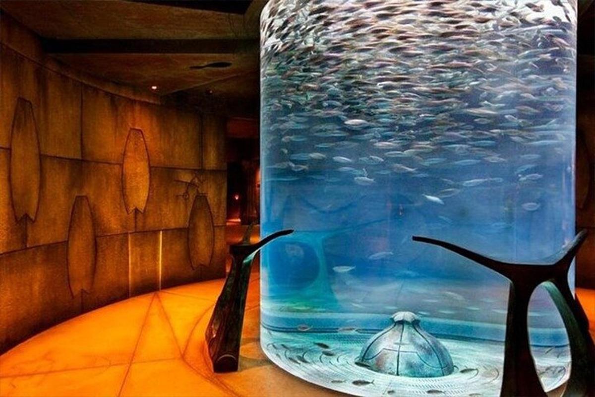 Attraction picture 7