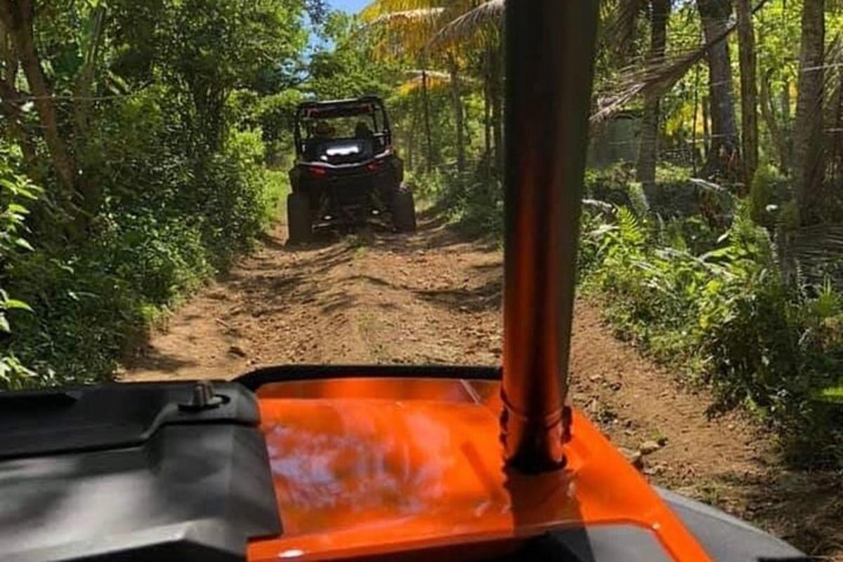 une jeep roulant sur un chemin de terre dans la jungle