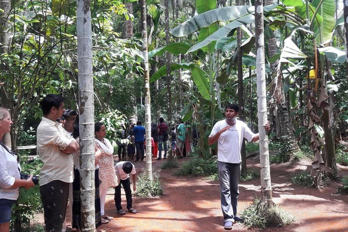 sekelompok orang yang berdiri di sekitar hutan