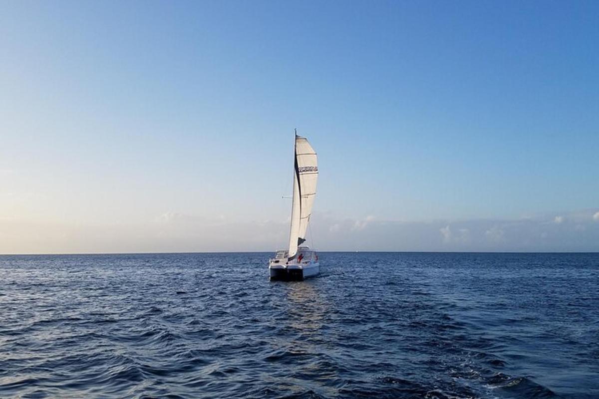 a sail boat in the middle of the ocean