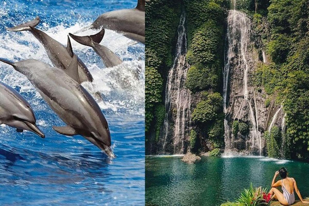 duas fotos de golfinhos pulando na água