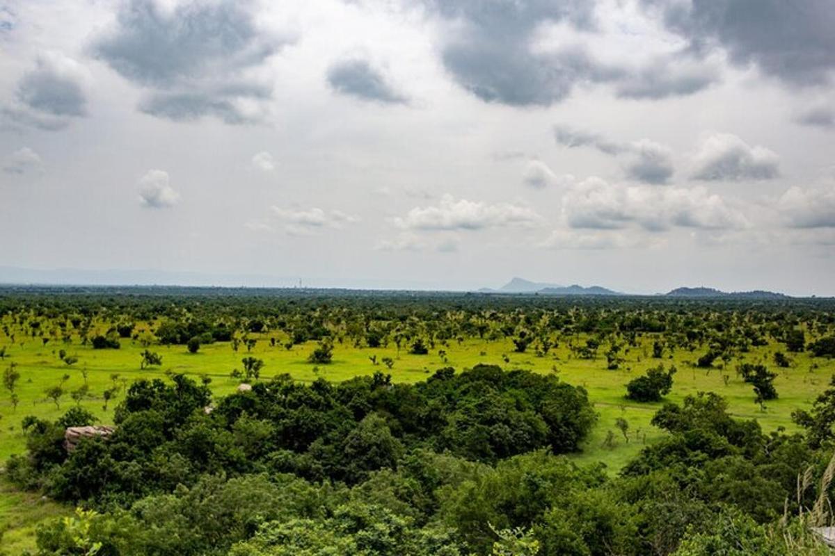 an open field with trees and clouds in the sky