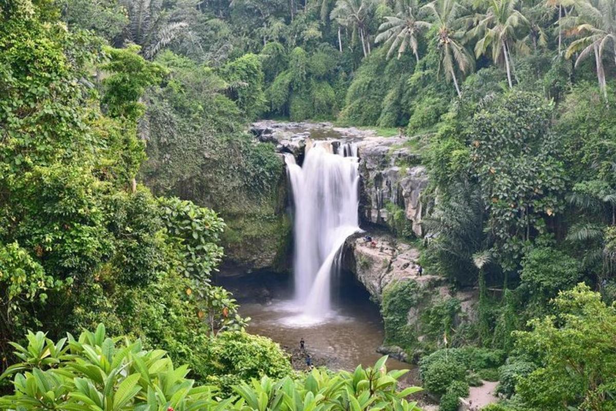 una cascata nel mezzo di una giungla