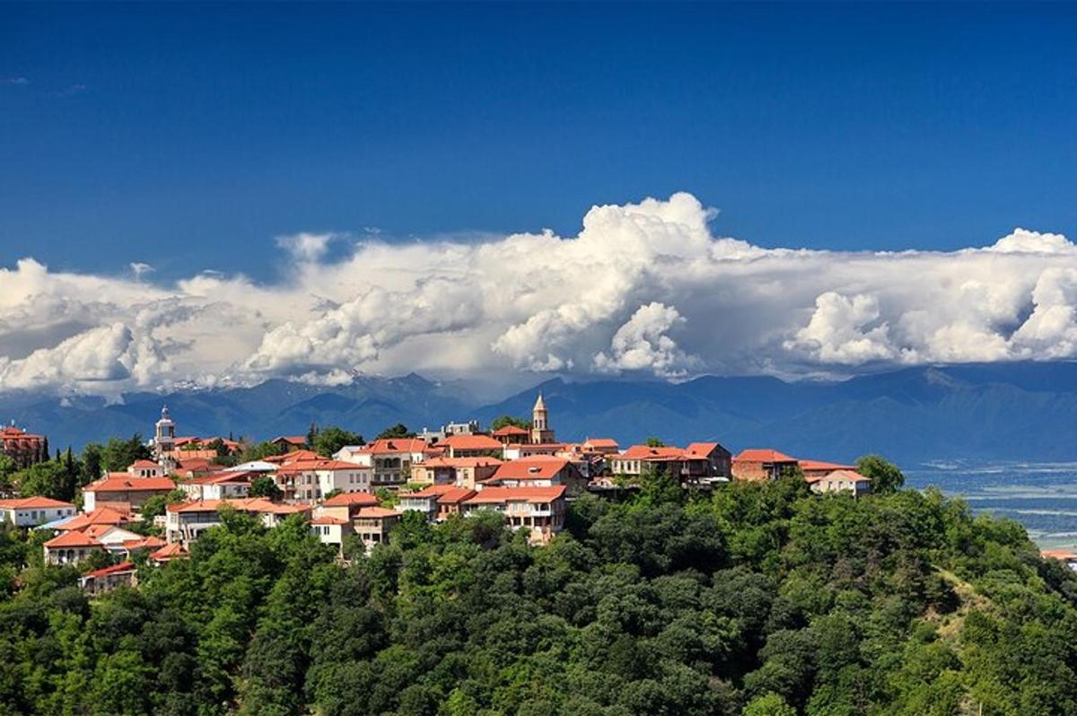 un gruppo di case in cima a una collina