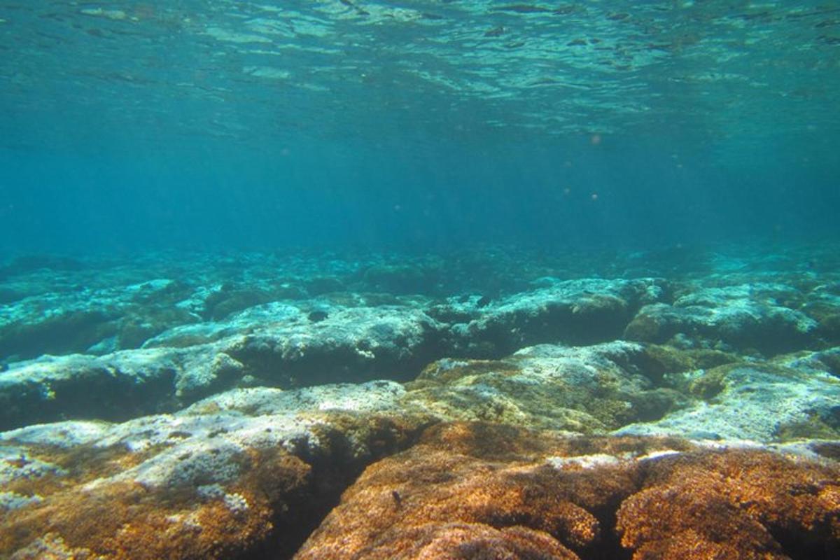 велика водена површина са пуно корала