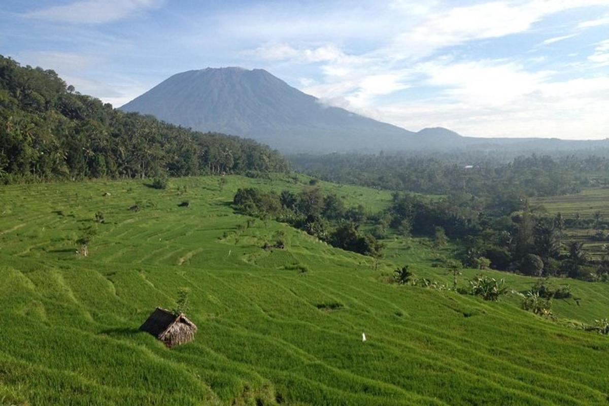 padang hijau dengan latar belakang gunung