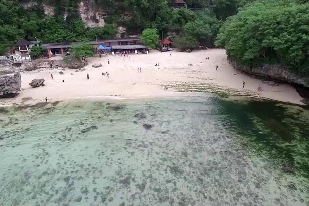 Grupa ludzi na plaży, blisko wody
