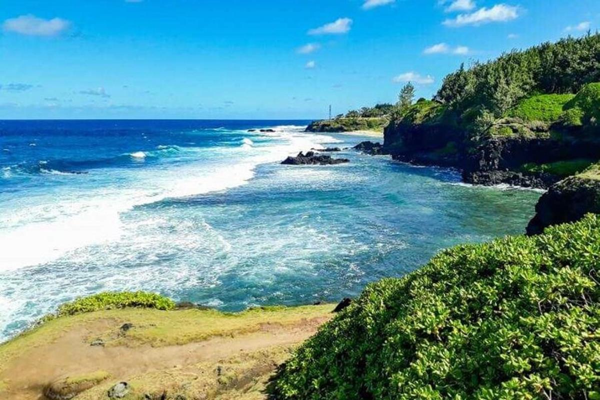 utsikt över en strand med havet