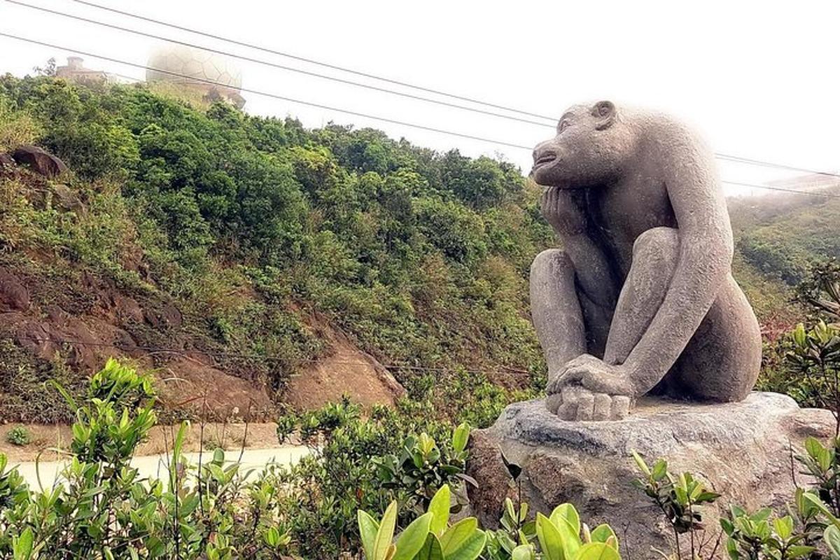 una statua di un orso seduto su una roccia