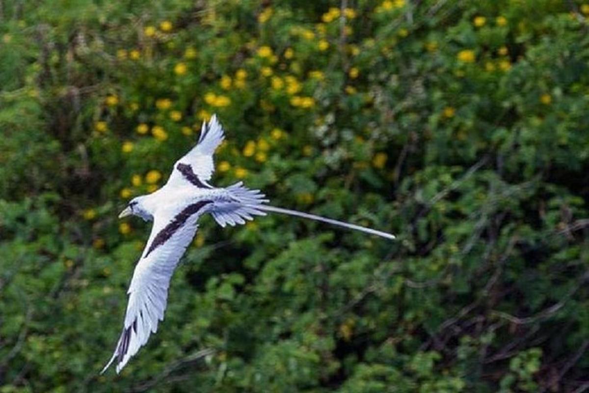 6 foto atraksi wisata