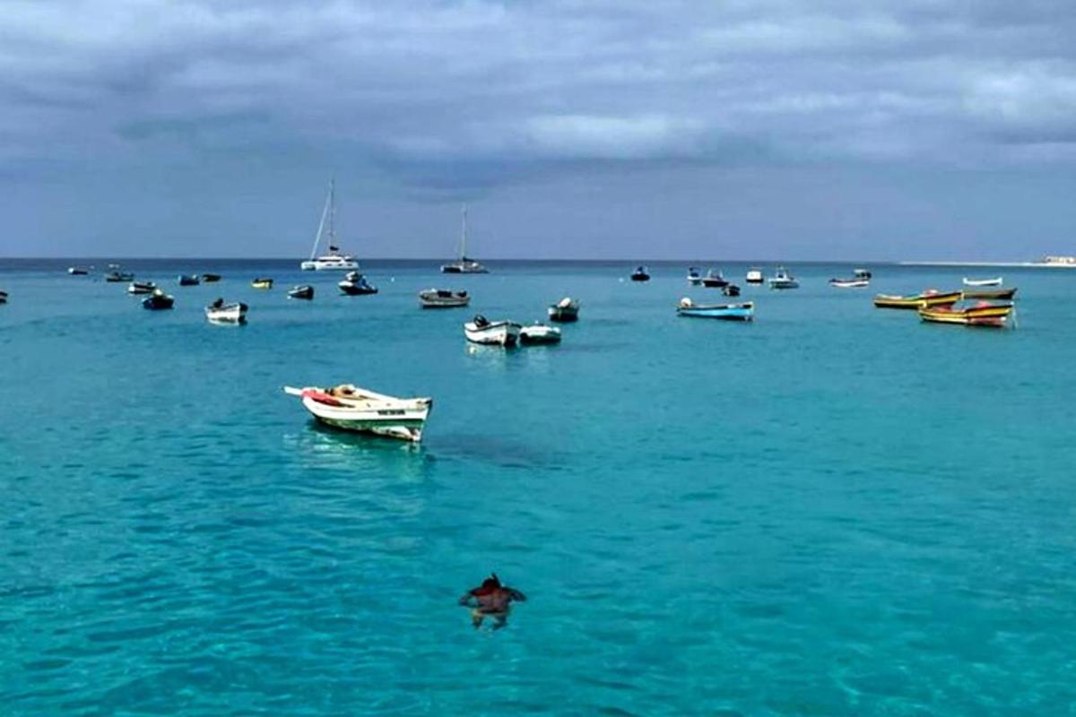 isang grupo ng mga bangka sa karagatan na may isang tao sa tubig