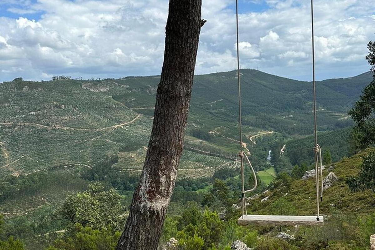 hojdačka visiaca zo stromu na hore