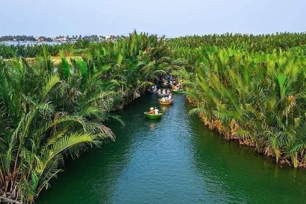 una vista aerea di un fiume con palme e barche