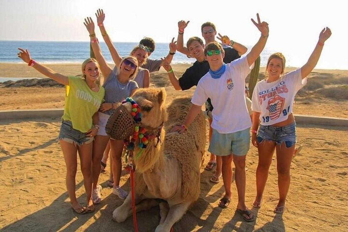 um grupo de pessoas em pé na praia com um camelo
