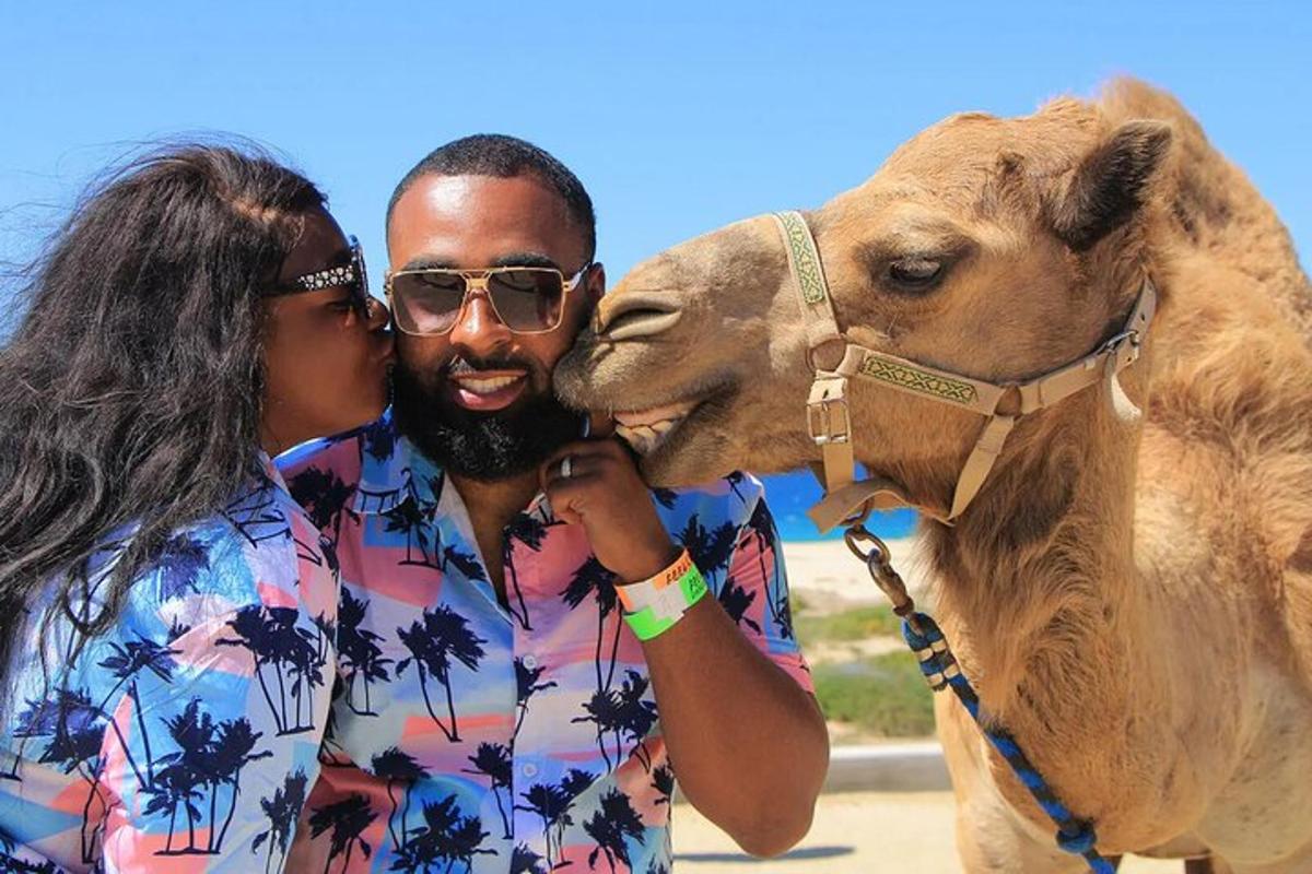a man and a woman kissing a camel