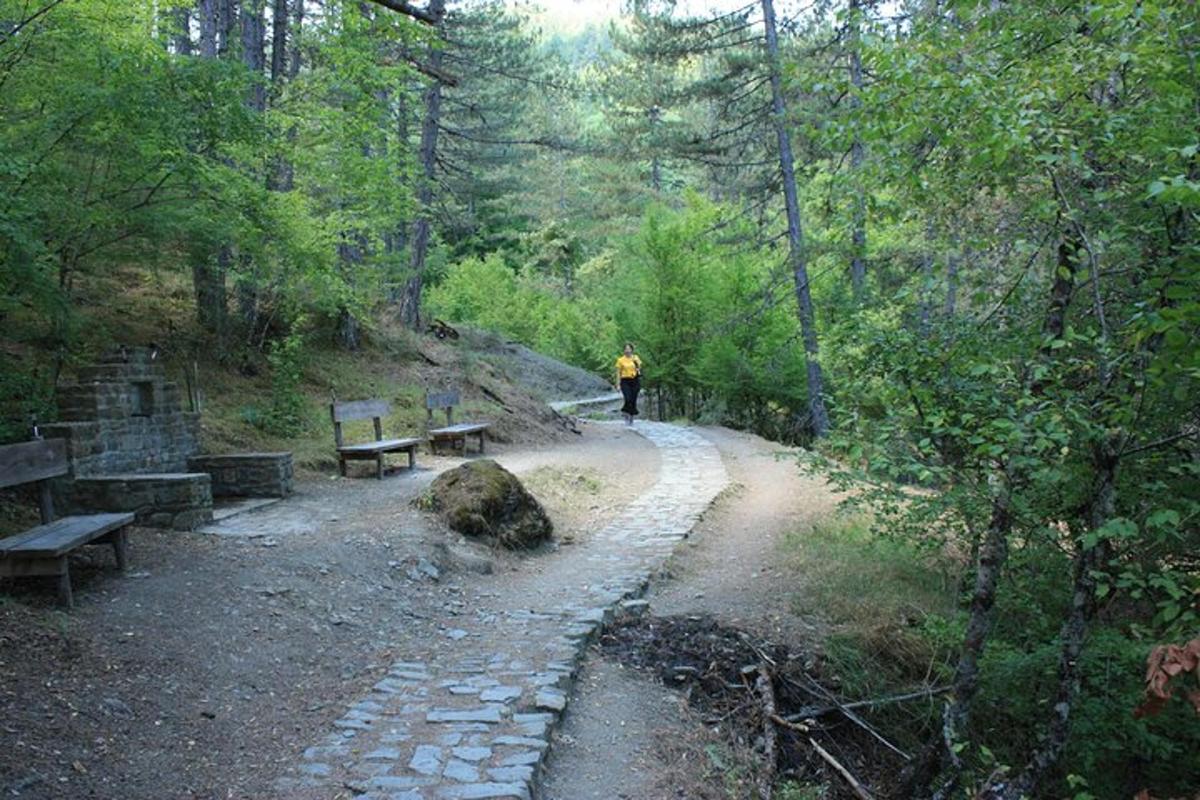 Bilde 6 av attraksjonen