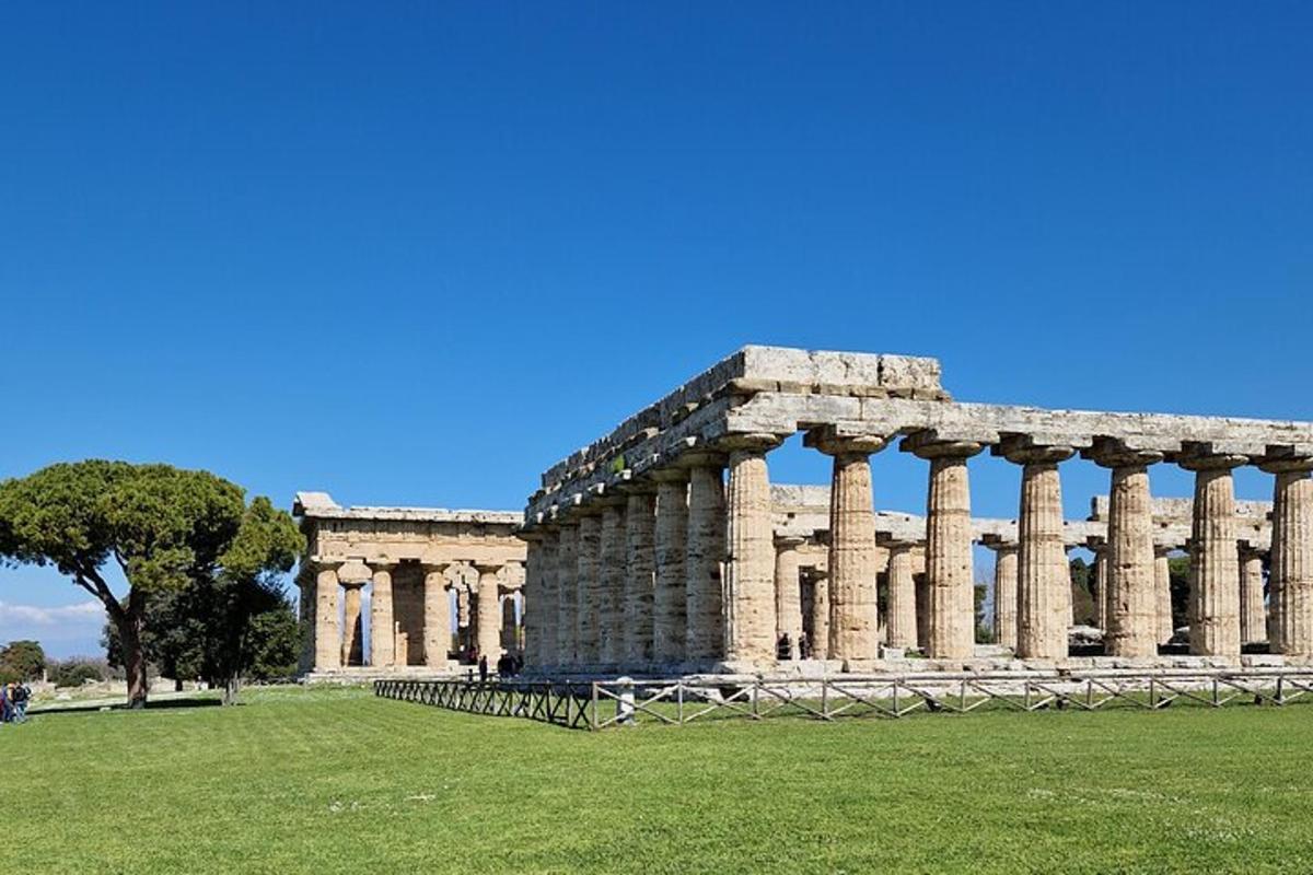 un antico edificio con colonne in un campo erboso