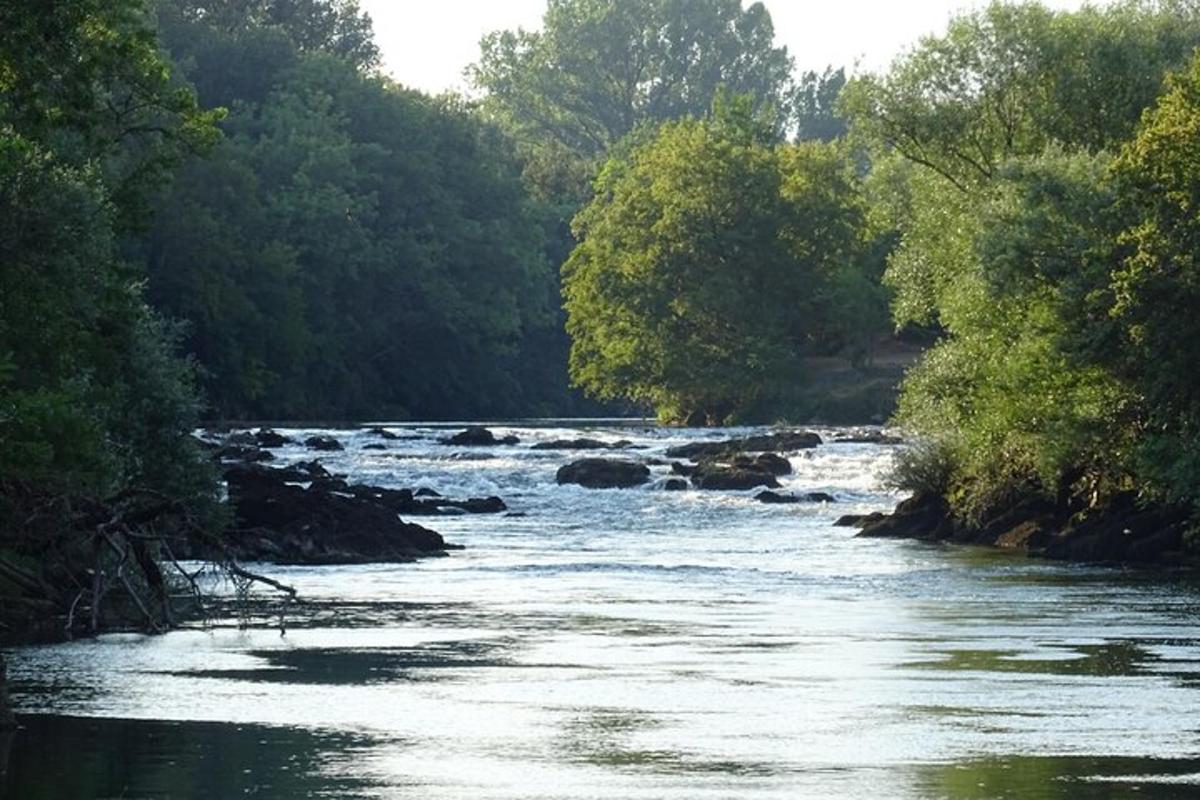 um rio com pedras e árvores ao lado