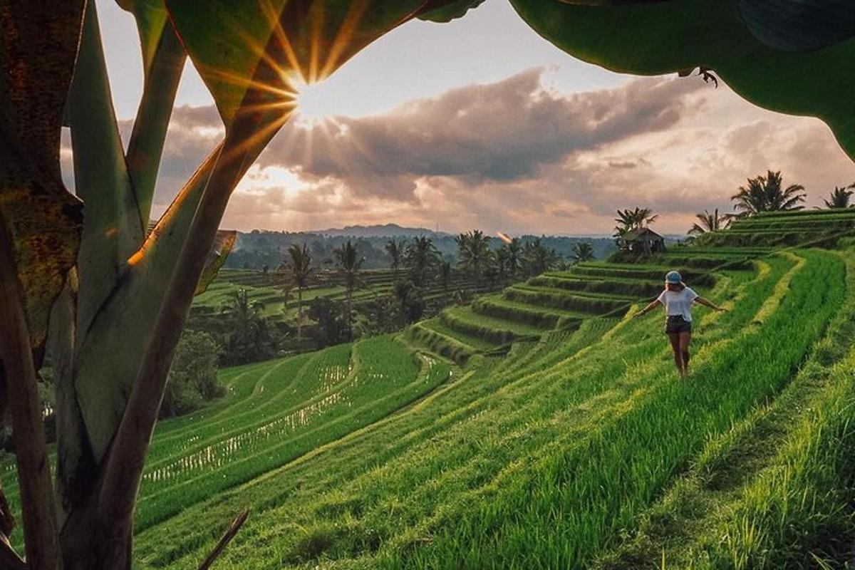 isang babaeng naglalakad sa bukid na may background na araw